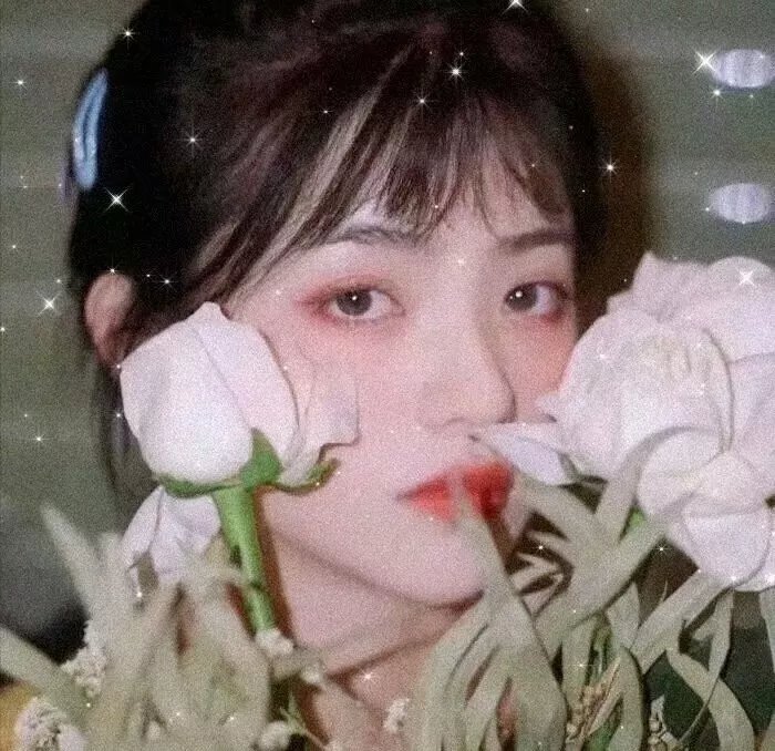 母亲泪