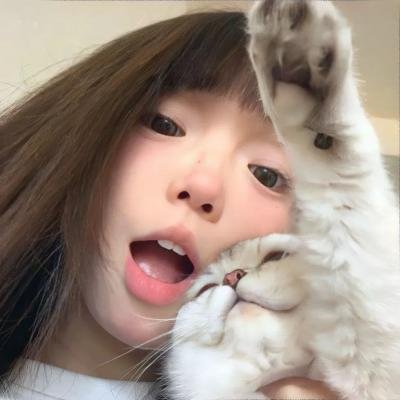 鬣狗之路